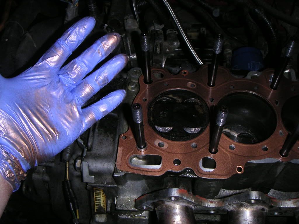 New head gasket. Leaks instantly.. Team Integra Forums